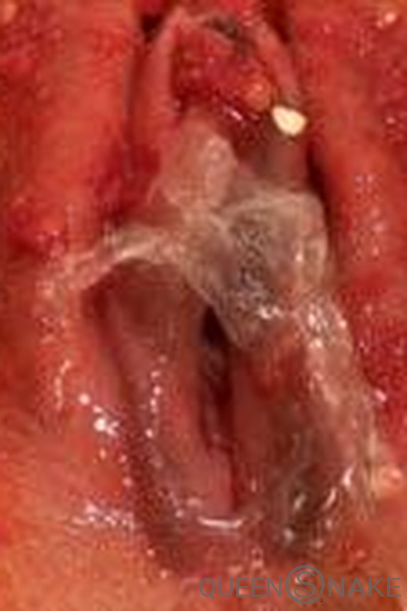 Green Hot Pepper - Screenshot 1 of 4 - Capsaicin