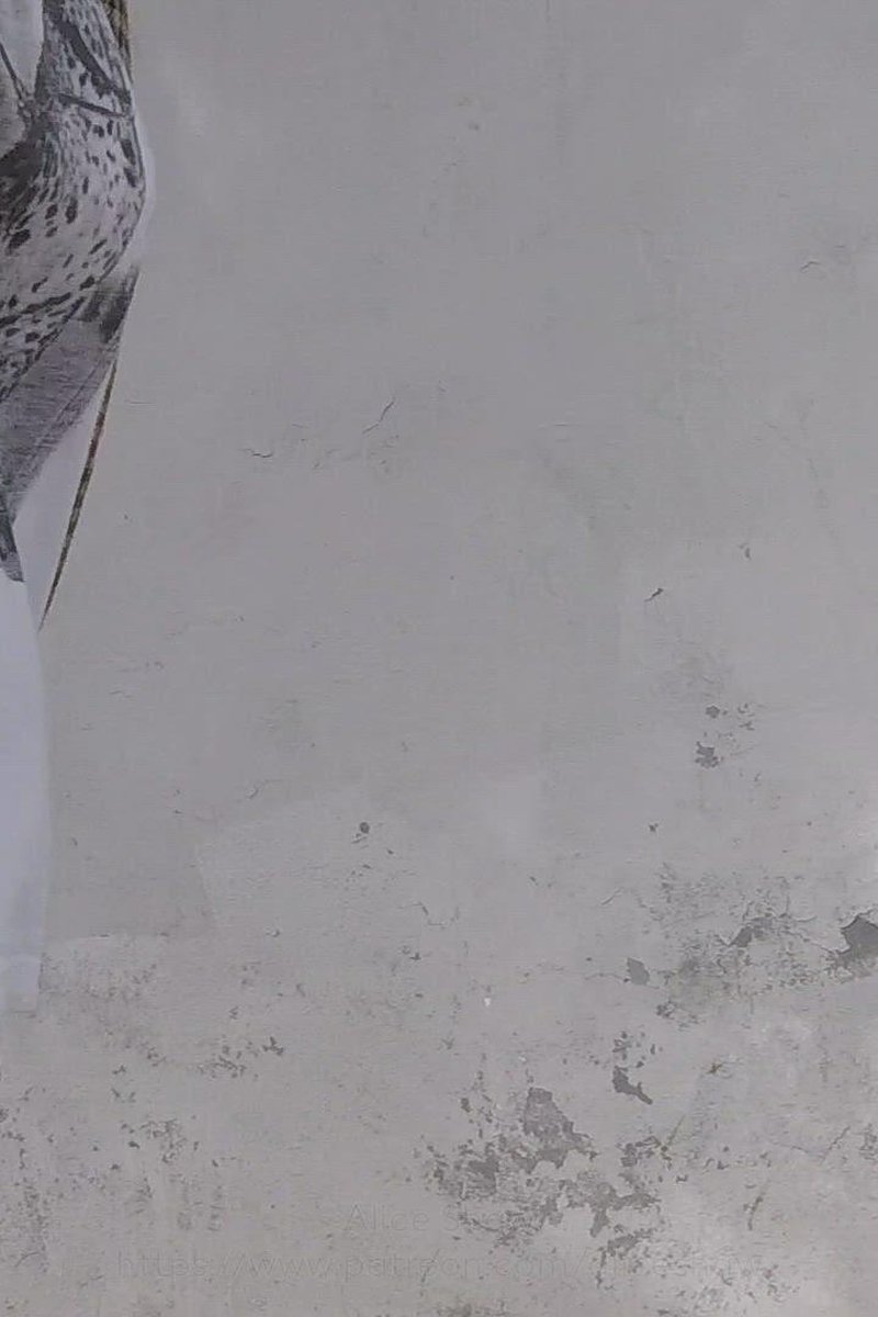 Walking After Lunch, Dinner And Posing - Screenshot 1 of 4 - Bloated
