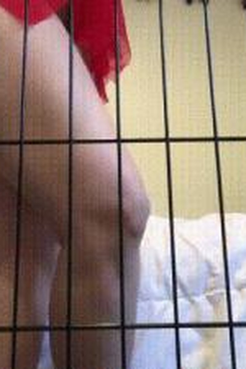 Caged & Ignored - Screenshot 1 of 4 - BDSM
