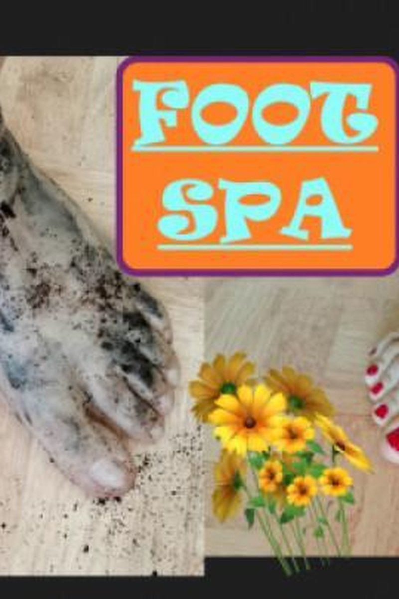 Foot Spa - Screenshot 1 of 4 - Foot Fetish