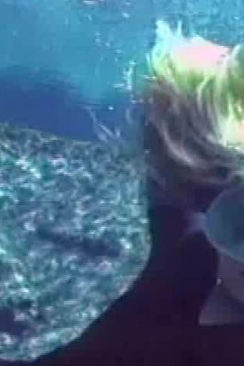 Spring Training - Screenshot 1 of 4 - Snorkel Gear