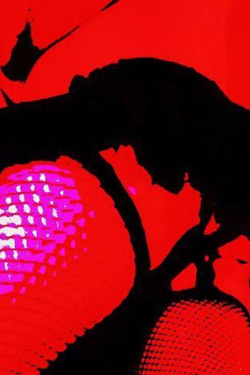 Sissy Cd Dancing Pmv - Screenshot 1 of 4 - Amateur