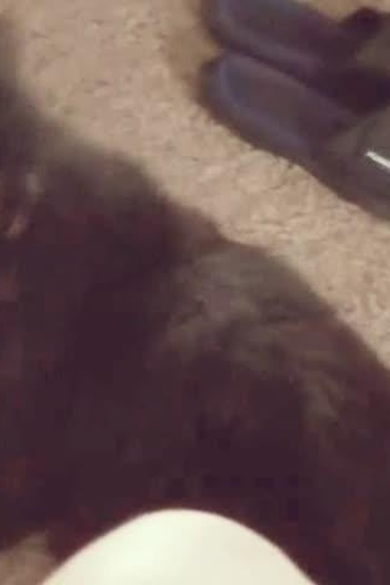 Mindsmash - Screenshot 1 of 4 - Bathroom