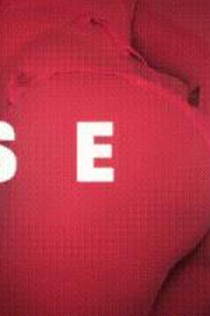 Assception - Screenshot 1 of 4 - Ass Fetish