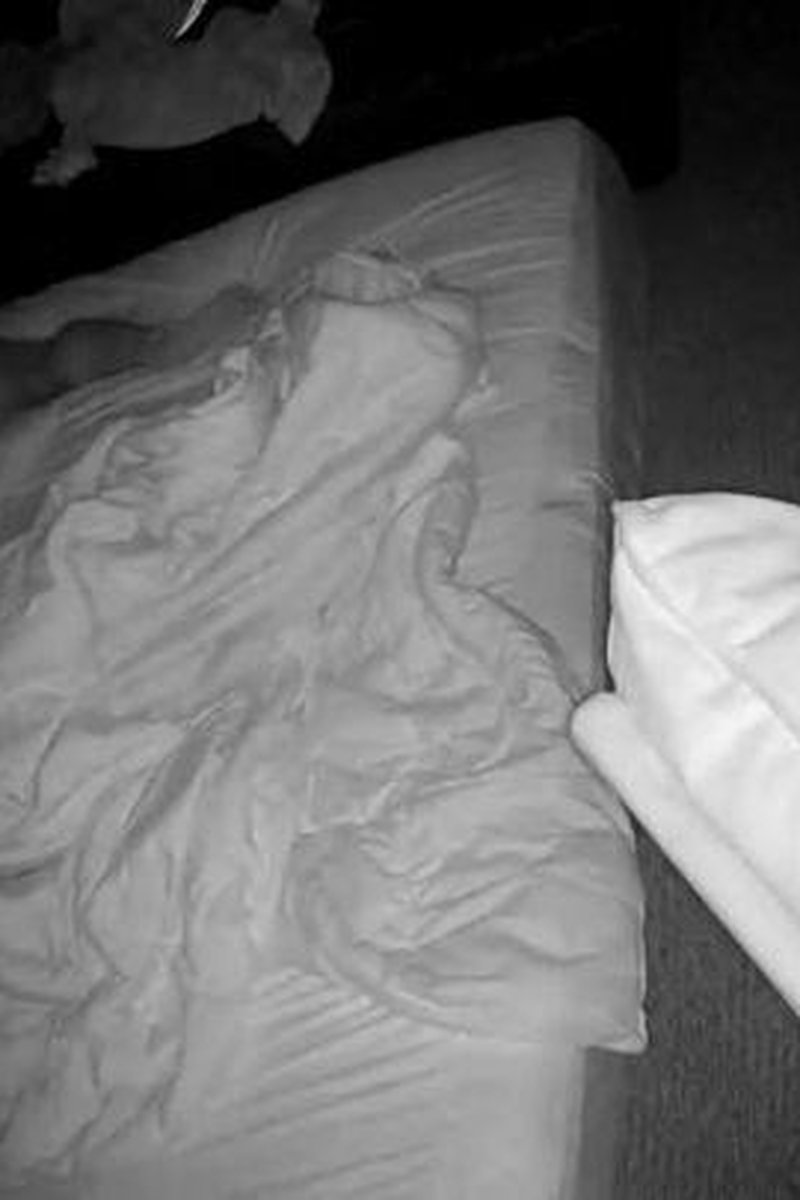 Camera Caught - Screenshot 1 of 4 - Amateur