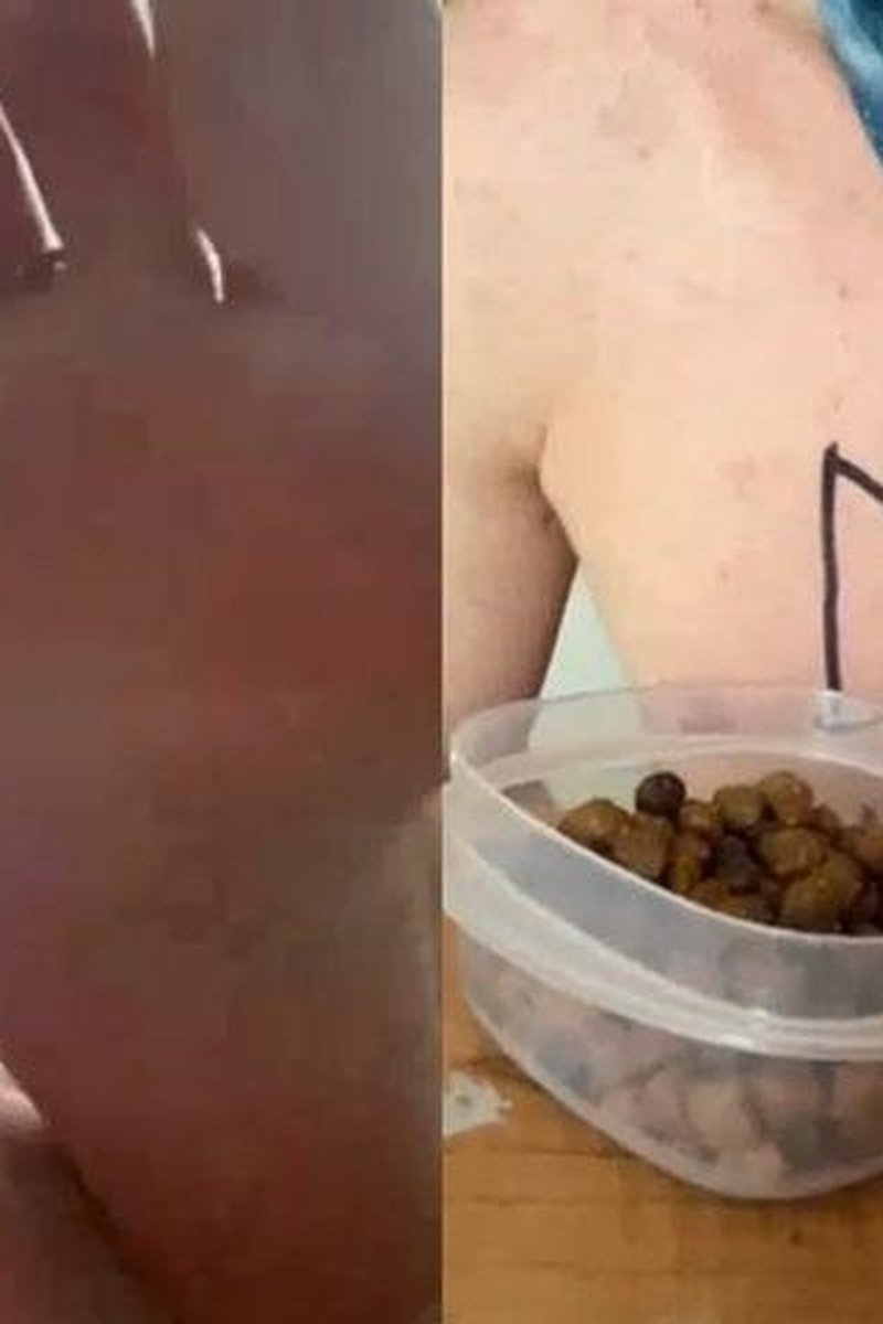 My Pet - Screenshot 1 of 4 - Dog Training