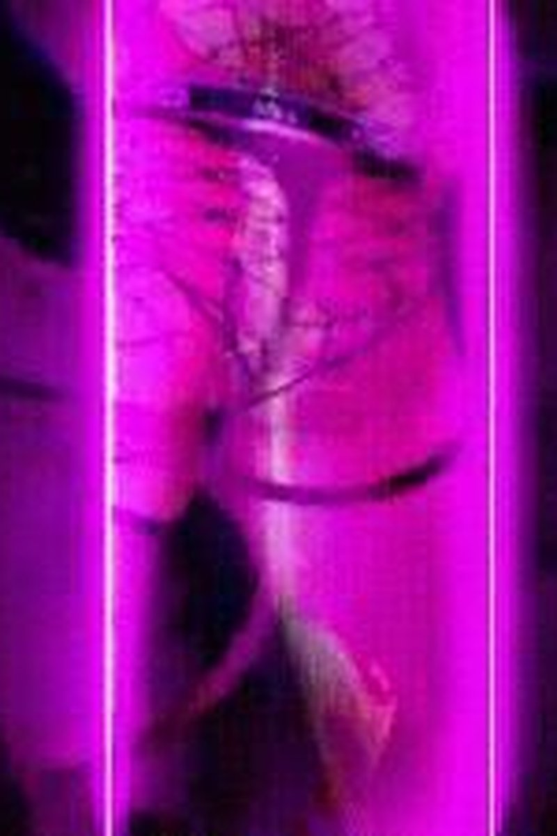 Cd Overdrive - Screenshot 1 of 4 - Amateur