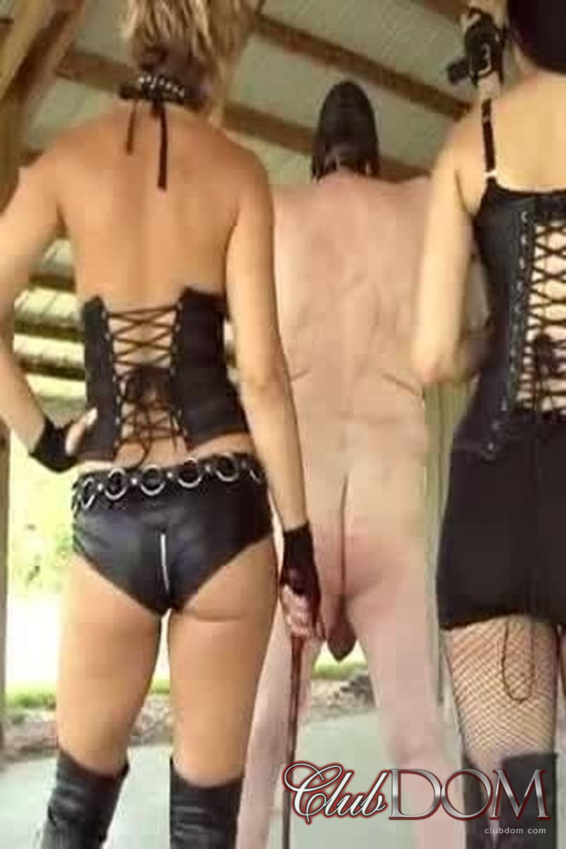 Beating Our Bitch - Screenshot 1 of 4 - Goddess Brianna