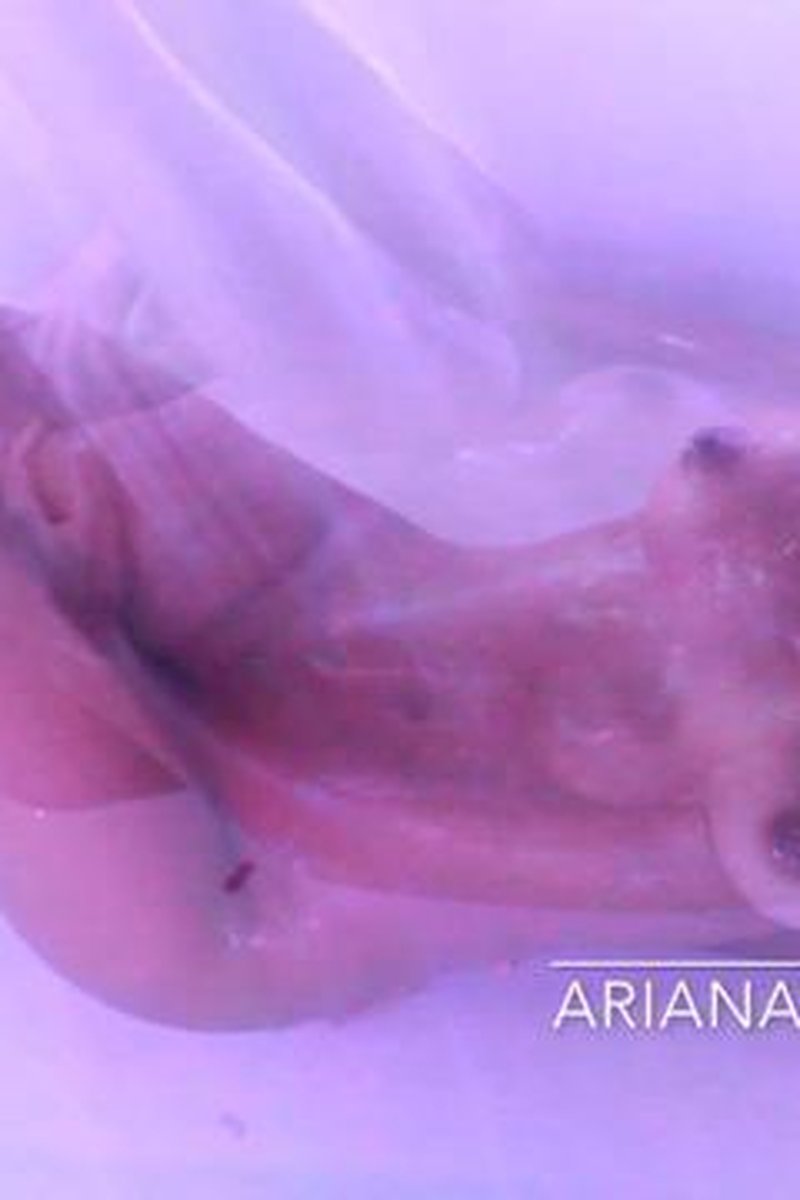 Soapy Shower - Screenshot 1 of 4 - Black