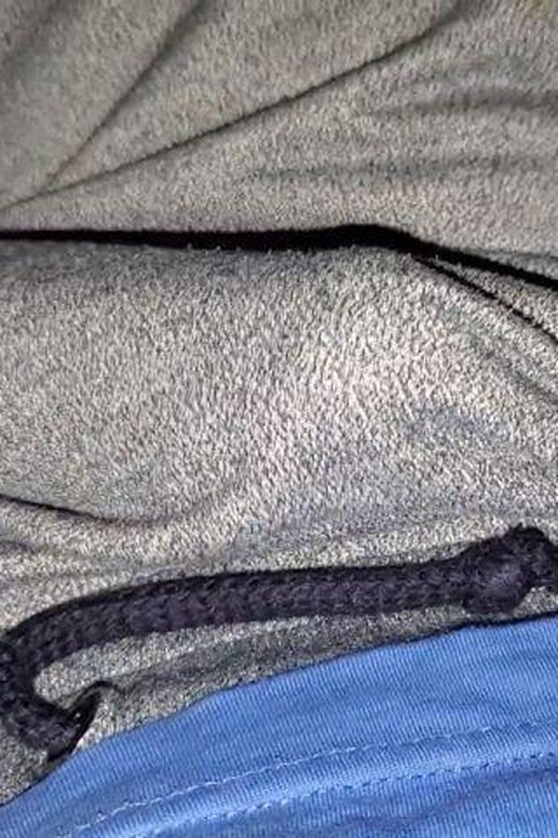 Teasing - Screenshot 1 of 4 - Big Dick