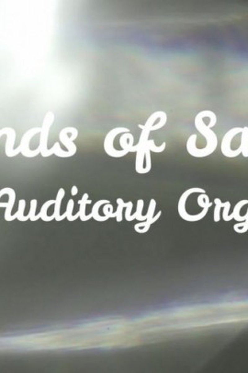 Sounds of Sally: an Auditory Orgasm - Screenshot 1 of 4 - Audio Only