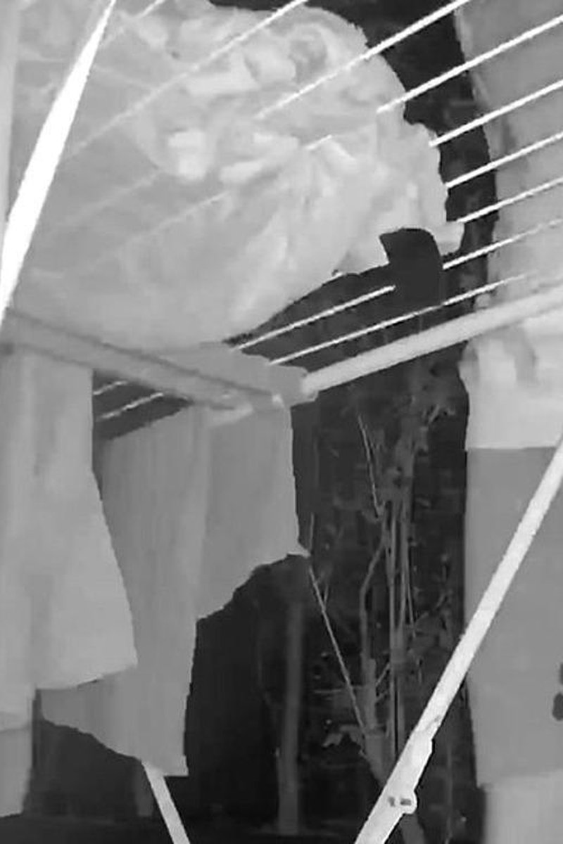 Clean Laundry, Dirty Thoughts - Screenshot 1 of 4 - Amateur