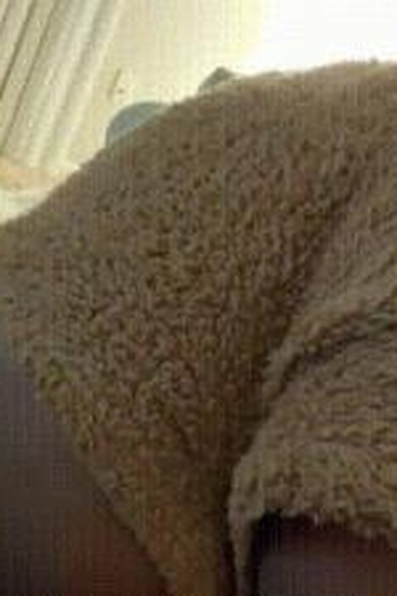 Pooting Compiliation - Screenshot 1 of 4 - Ass Fetish