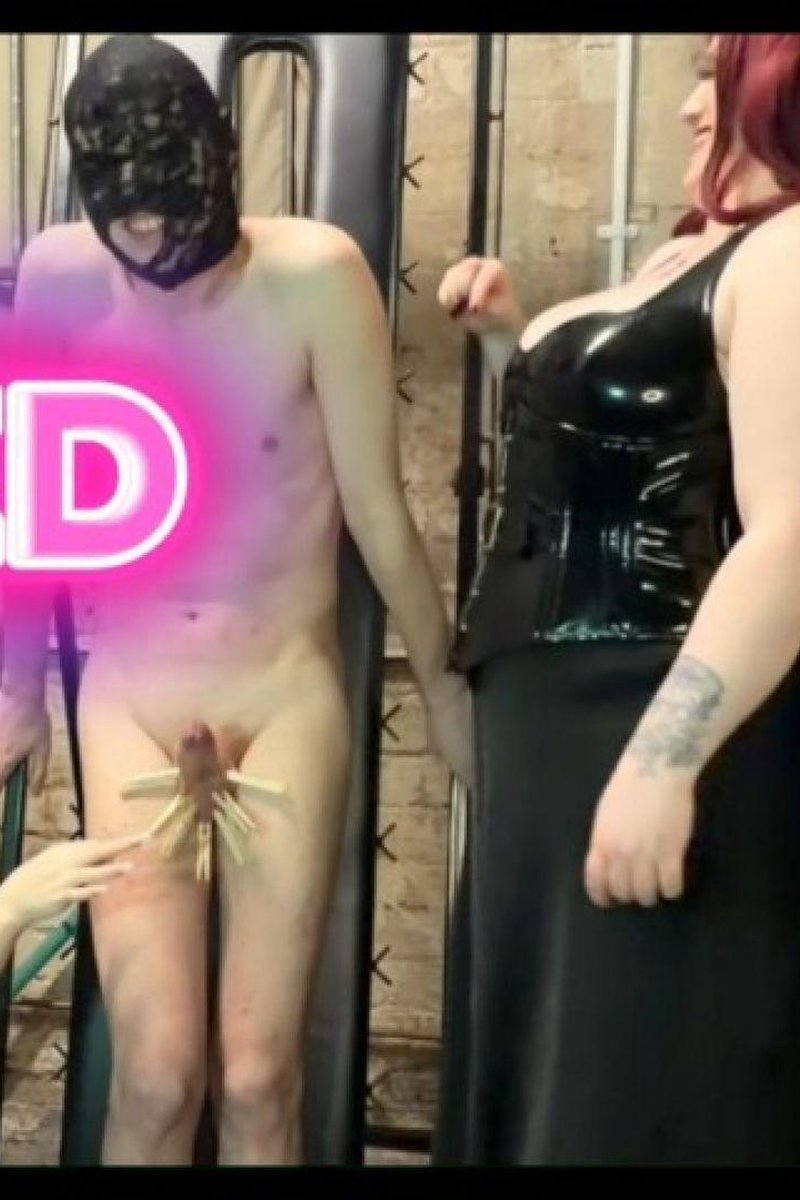 Pegged - Screenshot 1 of 4 - Cbtgames