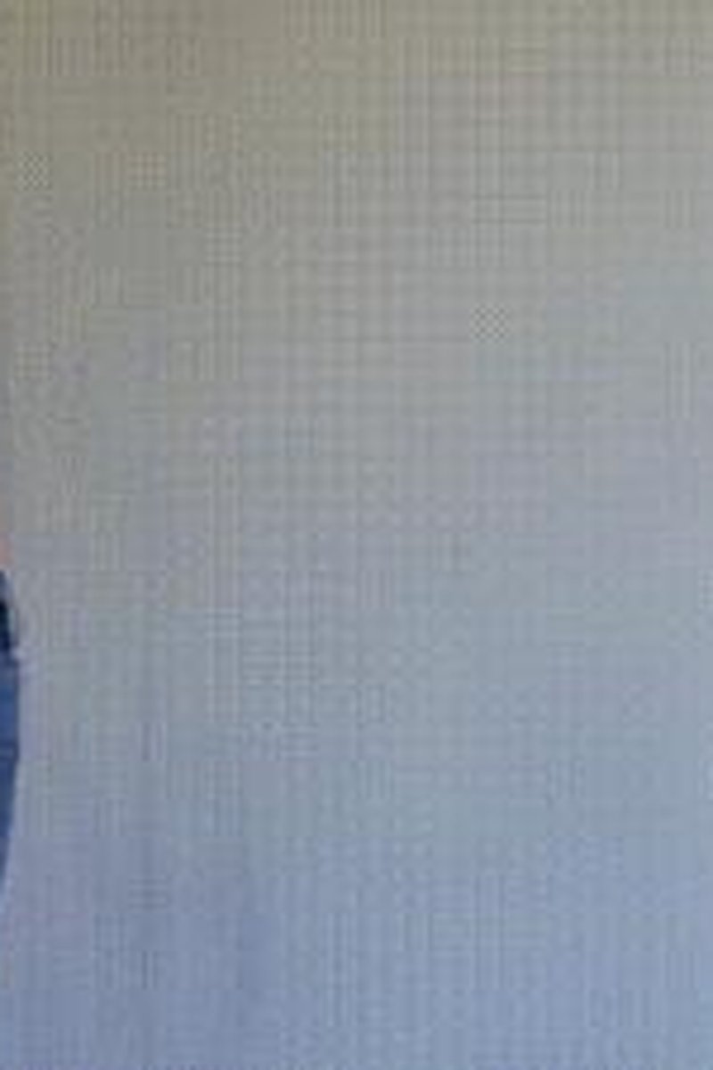 Painter's Buttcrack - Screenshot 1 of 4 - Ass Crack