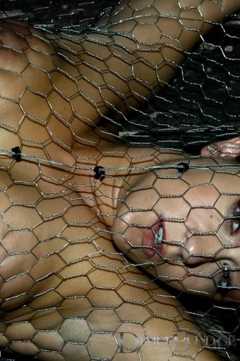 Penned in - Screenshot 1 of 4 - BDSM