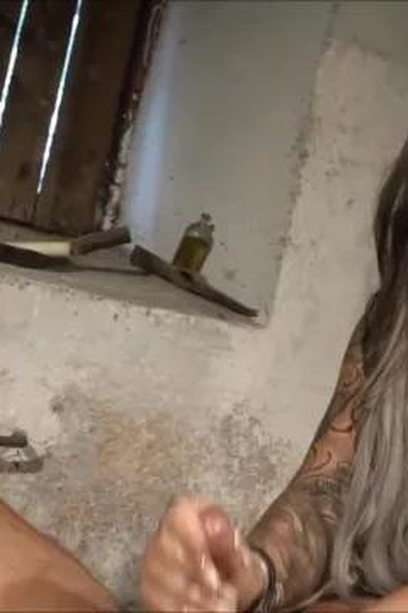 Controlled Milking - Screenshot 1 of 4 - European