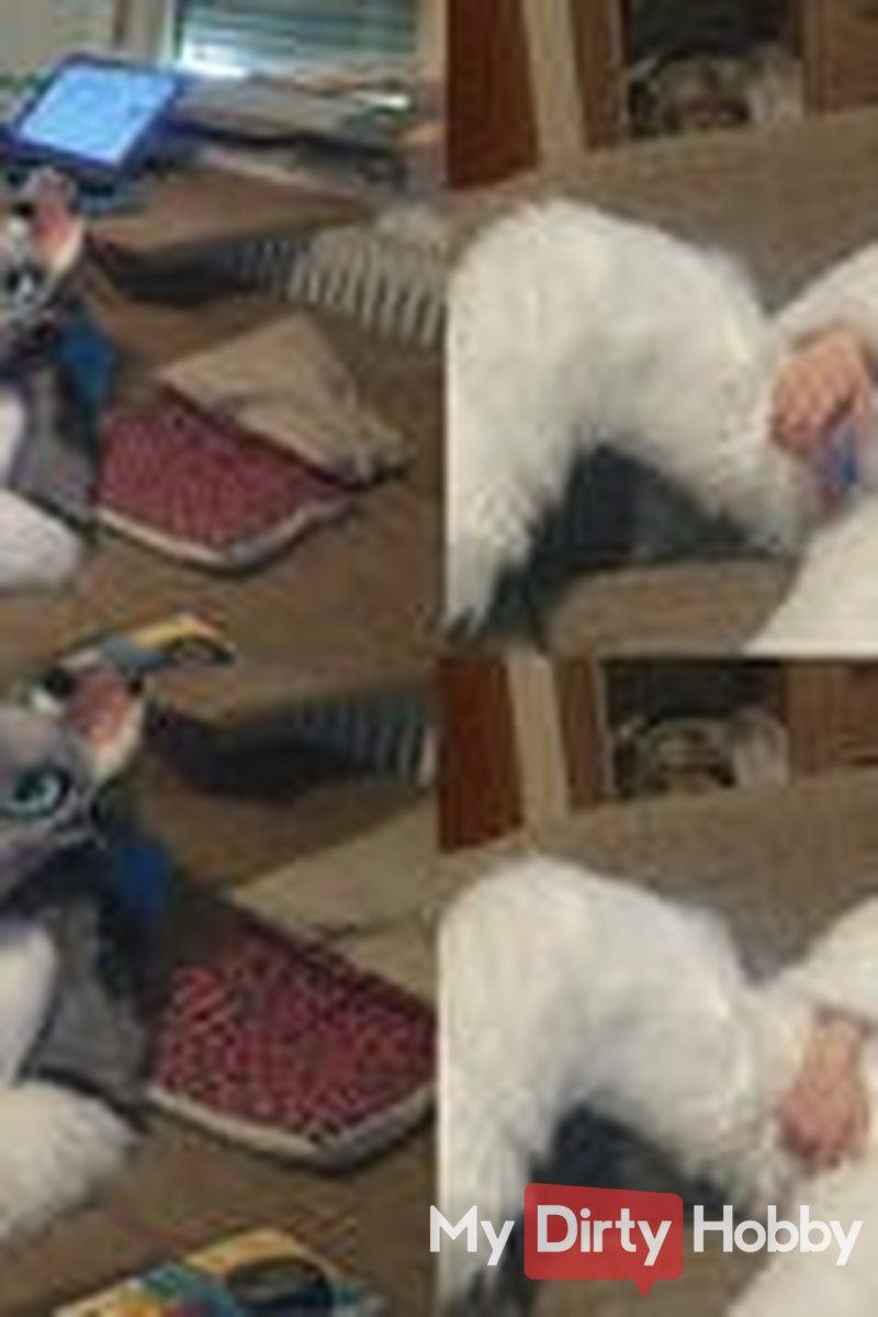 Filled on Couch - Screenshot 1 of 4 - Fraya Adullt
