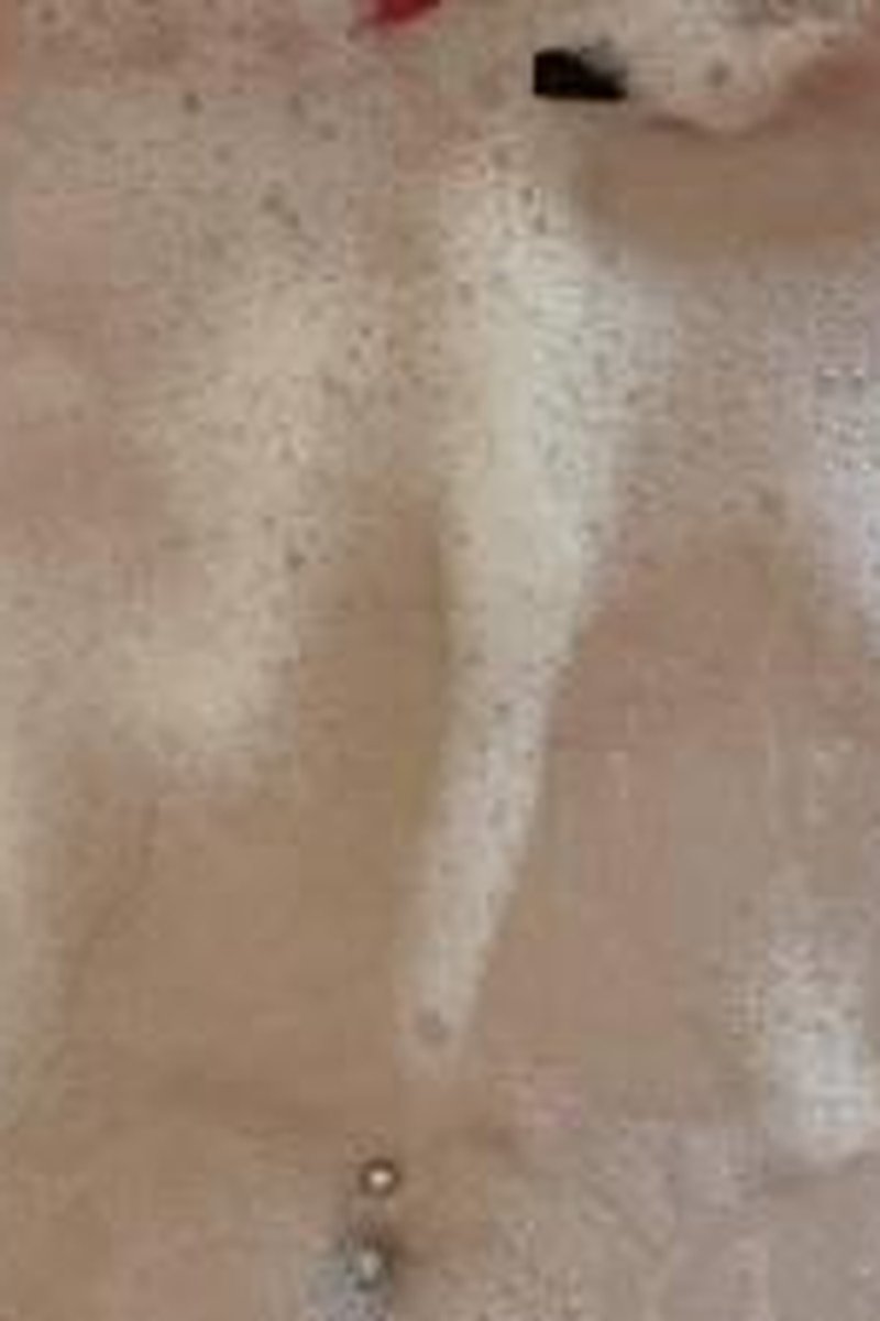 Soapy Tits - Screenshot 1 of 4 - 21 Year-old