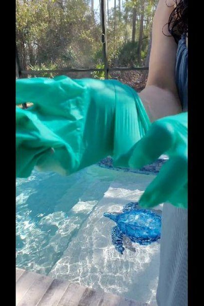 Sweaty Gloves - Screenshot 1 of 4 - Dominantwoman