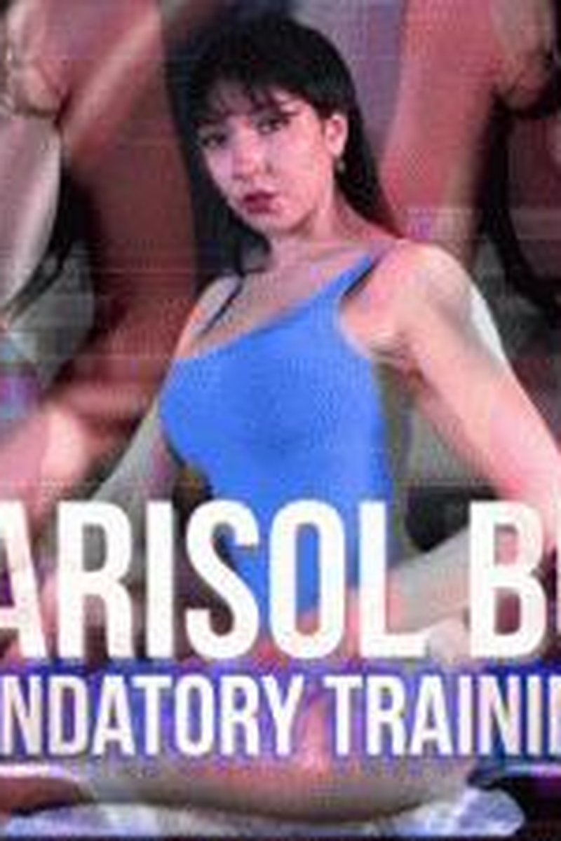 Marisol Bot: Mandatory Training - Screenshot 1 of 4 - Broken