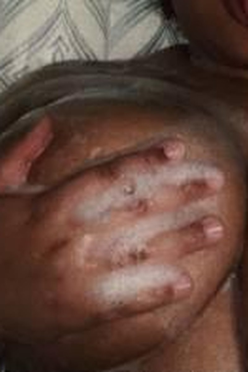 Bouncing Tits - Screenshot 1 of 4 - Bathroom