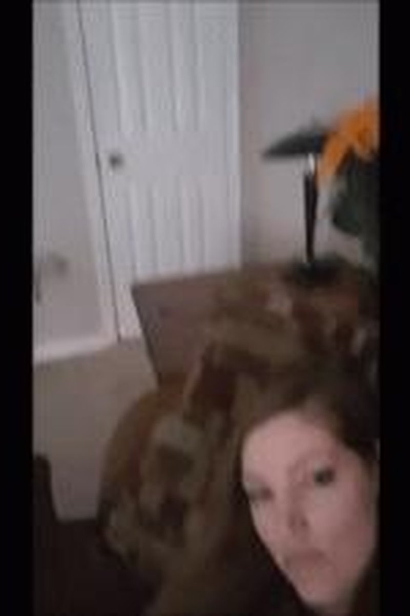 Cleavage Ripoff! - Screenshot 1 of 4 - BDSM