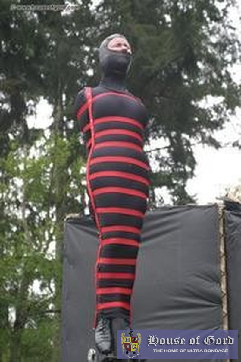 Double Cocooning - Screenshot 1 of 4 - Armbinder