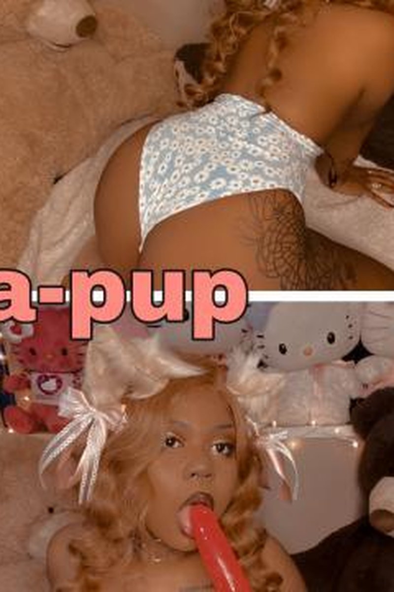 Adopt-A-Pup - Screenshot 1 of 4 - Asian