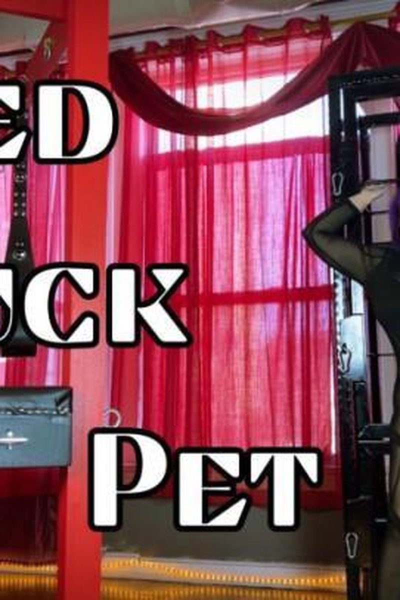 Caged Cuck Pet - Screenshot 1 of 4 - Cuckolding