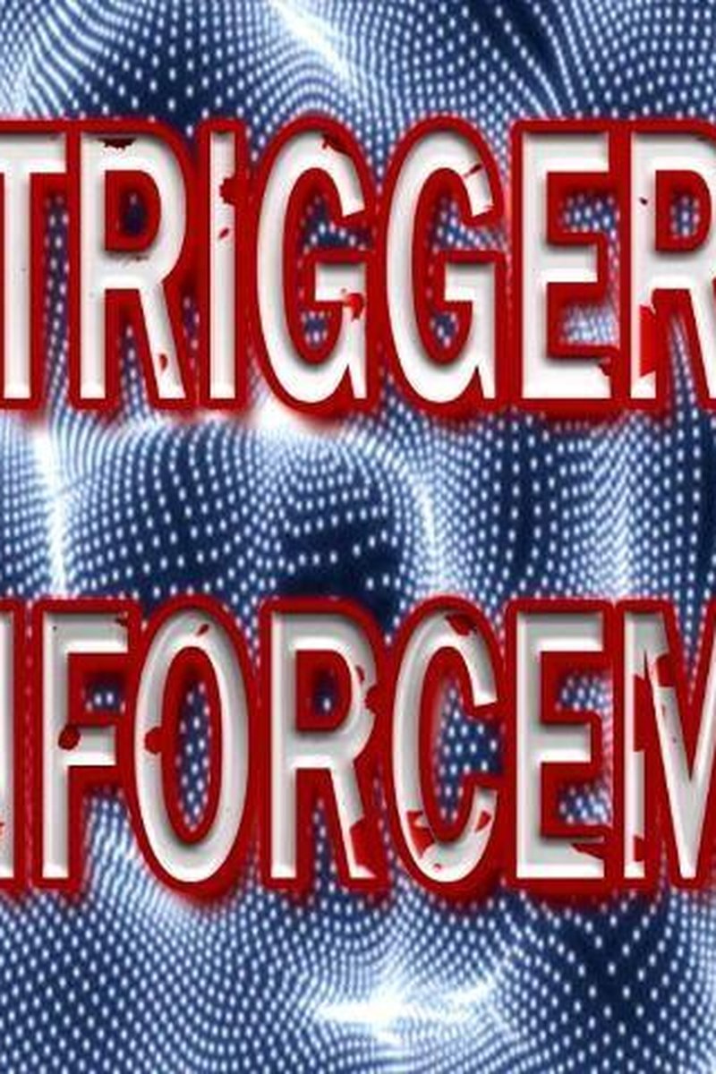 Trigger Reinforcement - Screenshot 1 of 4 - Audio Only