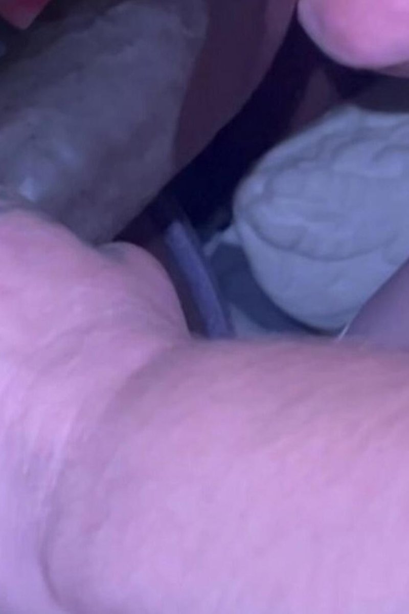 Toothless Temptation - Screenshot 1 of 4 - Amateur