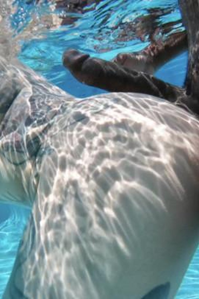 BBC Underwater Blowjob - Screenshot 1 of 4 - BBC
