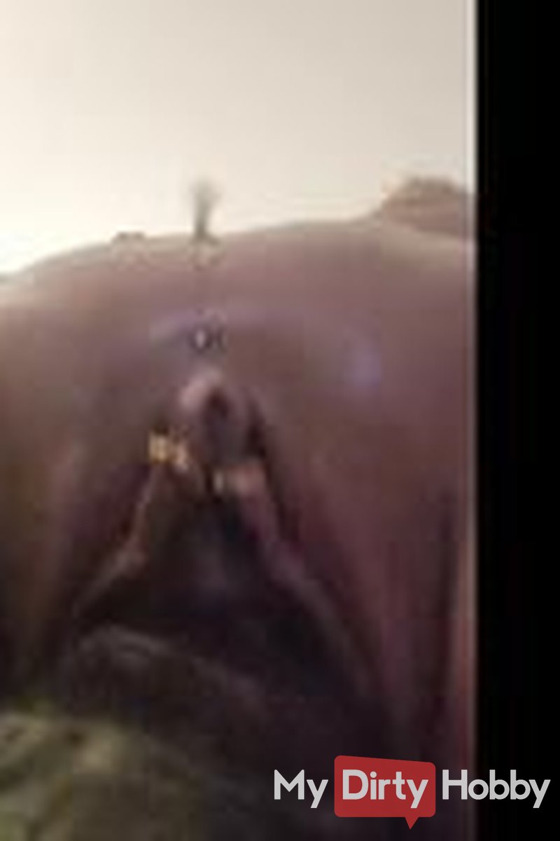 User Request Video - Screenshot 1 of 4 - Stella Mind