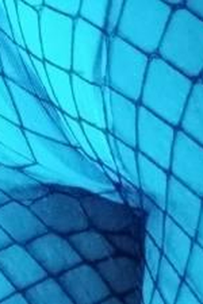 Basic Panties With Fishnets - Screenshot 1 of 4 - Fishnet