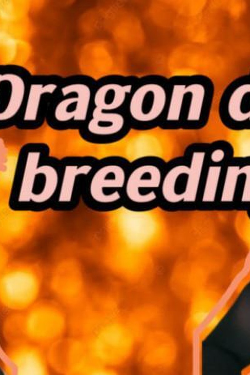 Dragon Dick Breeding Chubby Catgirl - Screenshot 1 of 4 - Cosplay