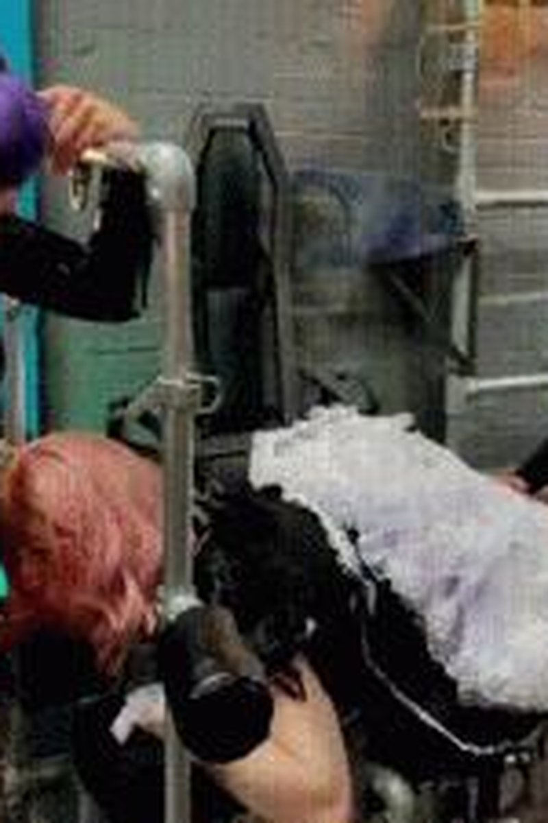 Moaning Sissy Spitroasted - Screenshot 1 of 4 - Anal