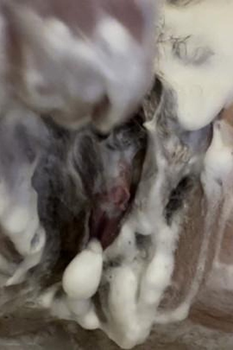 Cumming Suds - Screenshot 1 of 4 - Bathroom