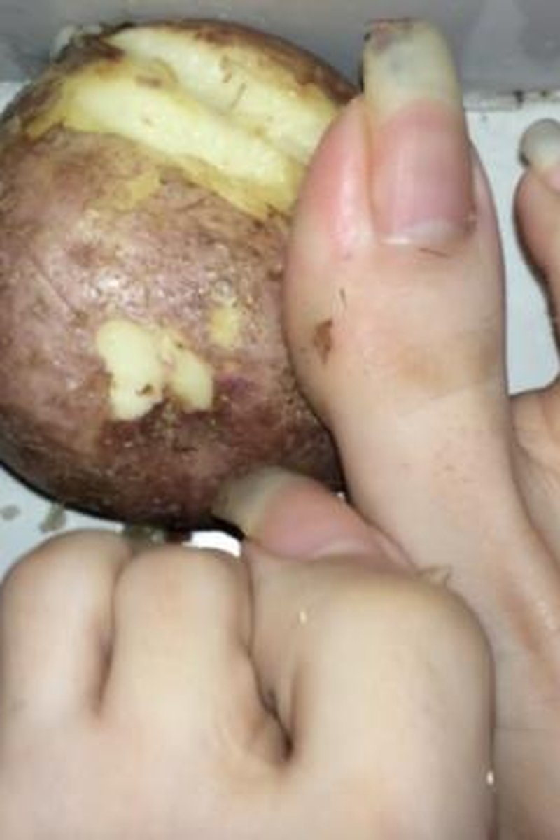 Scratching Potato - Screenshot 1 of 4 - Natural Tits