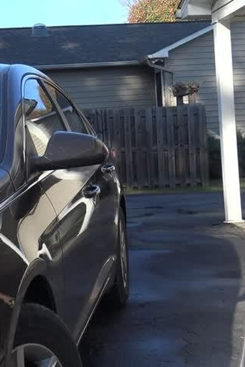 Car Wash - Screenshot 1 of 4 - BBW