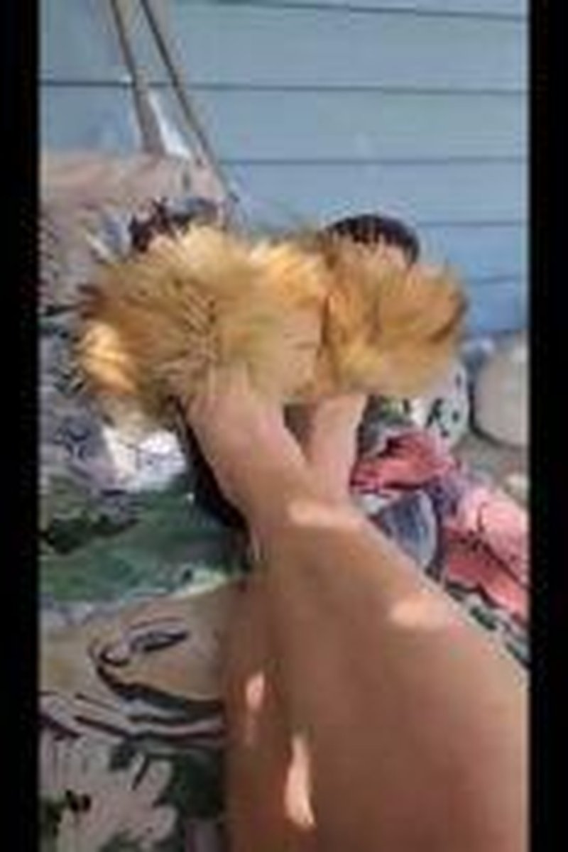 Summer Slides Content - Screenshot 1 of 4 - Cutefeet