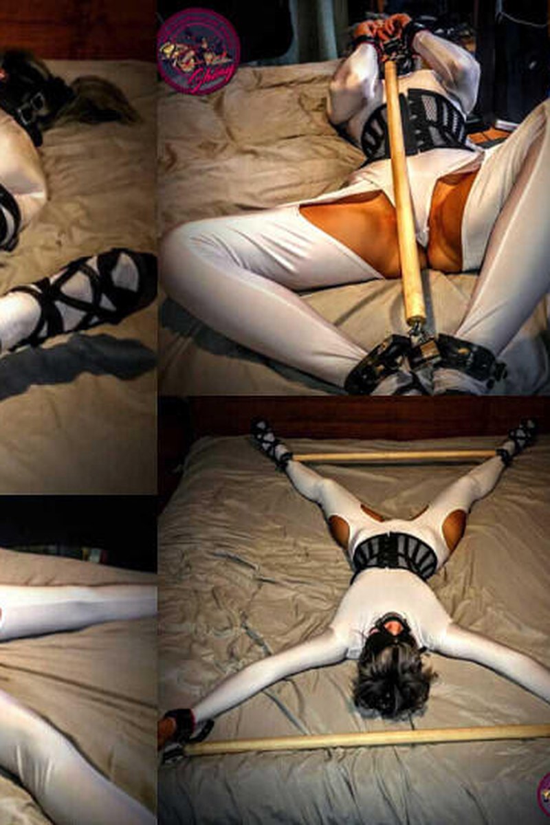 Playtime Positions - Screenshot 1 of 4 - BDSM