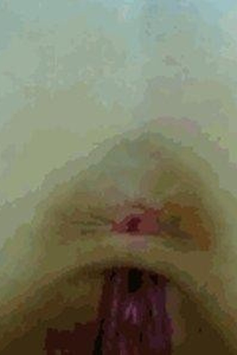 Lilly 19 Yo. Rides a Big Cock - Dvd Quality Mpeg Version - Screenshot 1 of 4
