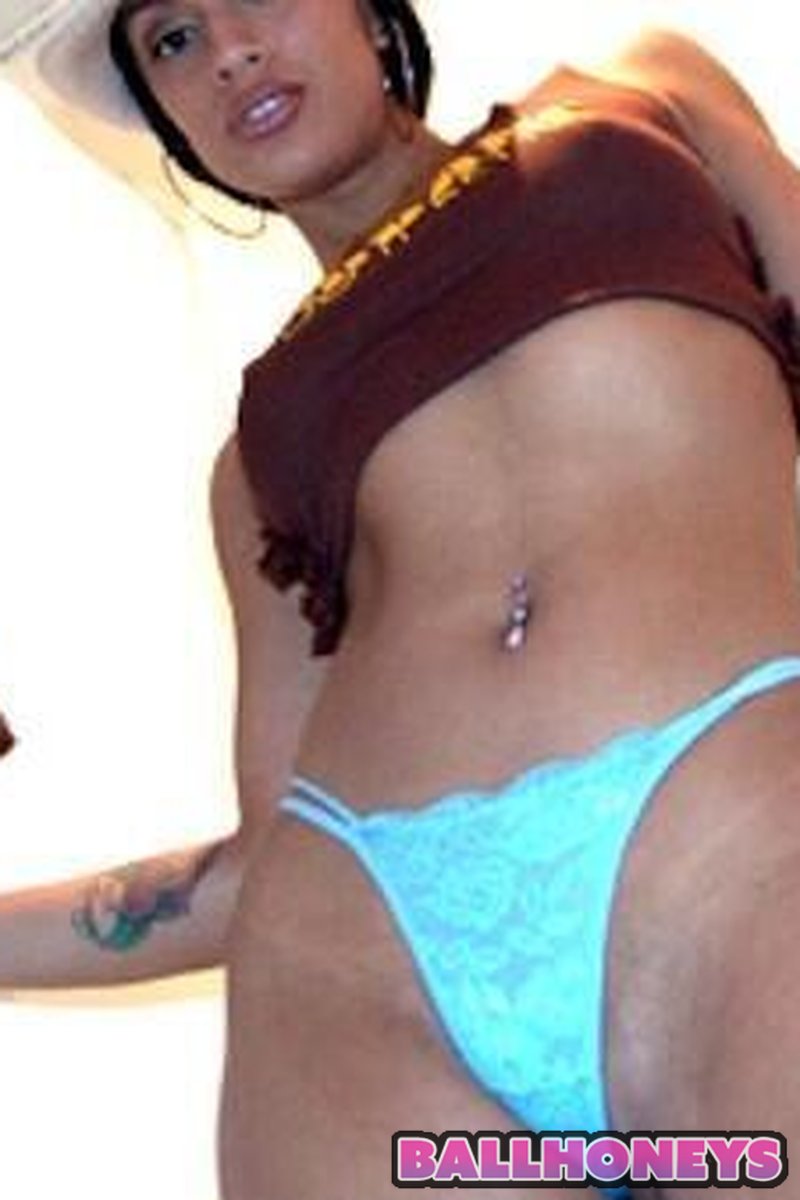 Ice Lafox - Screenshot 1 of 4 - Amateur