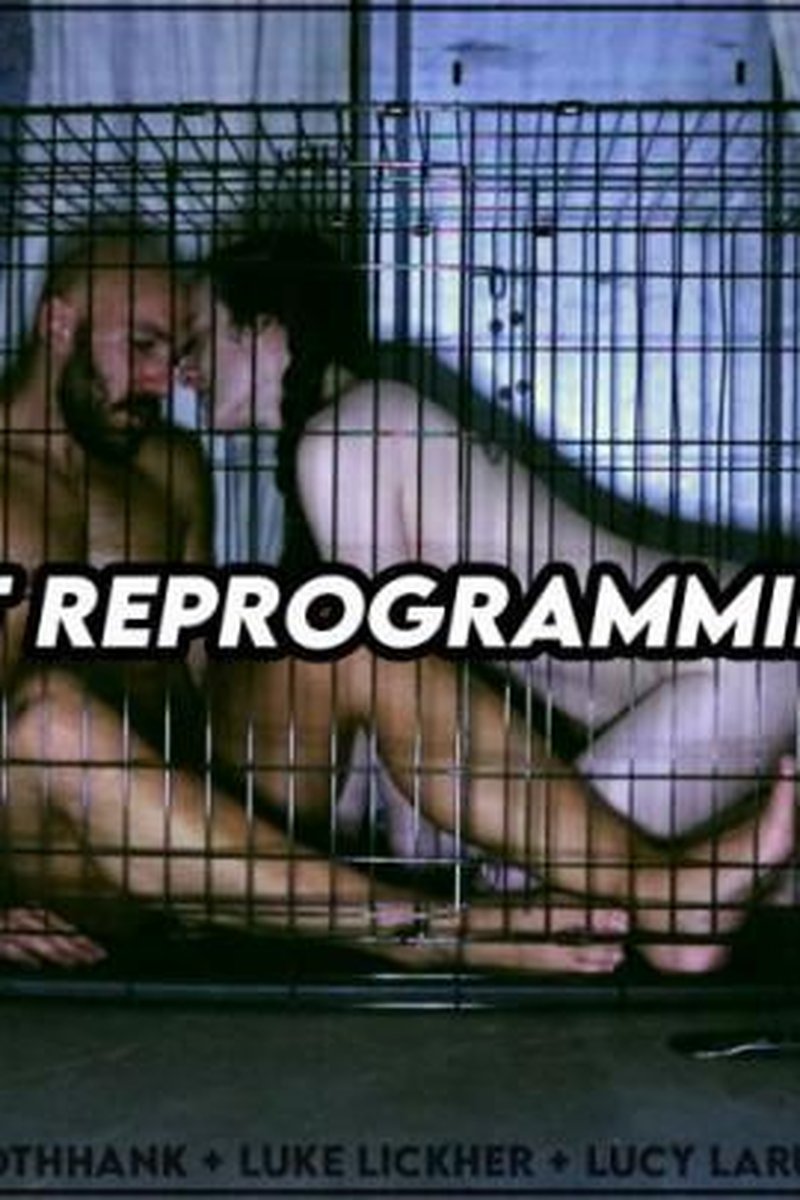 Mobile Pet Reprogramming Service - Screenshot 1 of 4 - BDSM