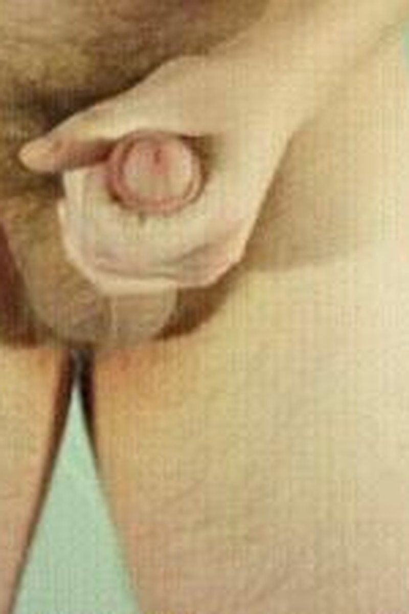 Cock Excercise - Screenshot 1 of 4 - Amateur