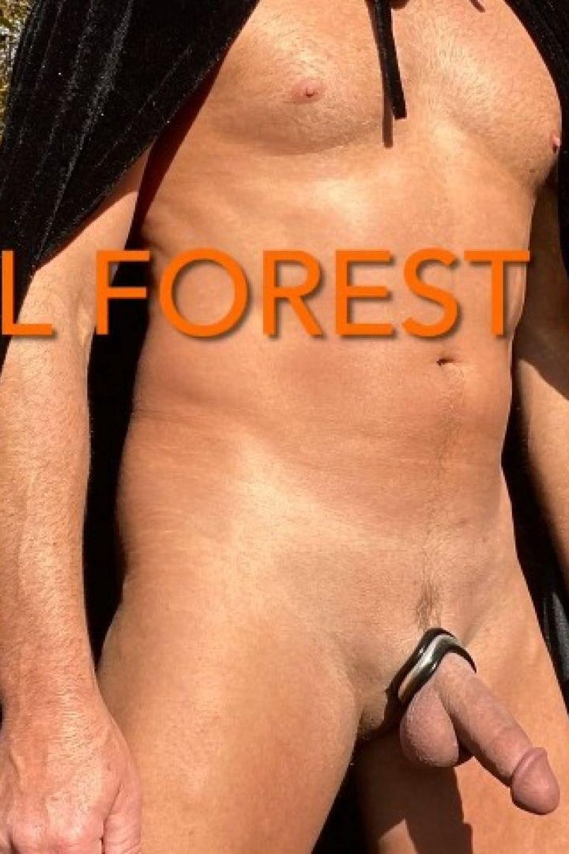 Fall Forest Fun - Screenshot 1 of 4 - Cumshot