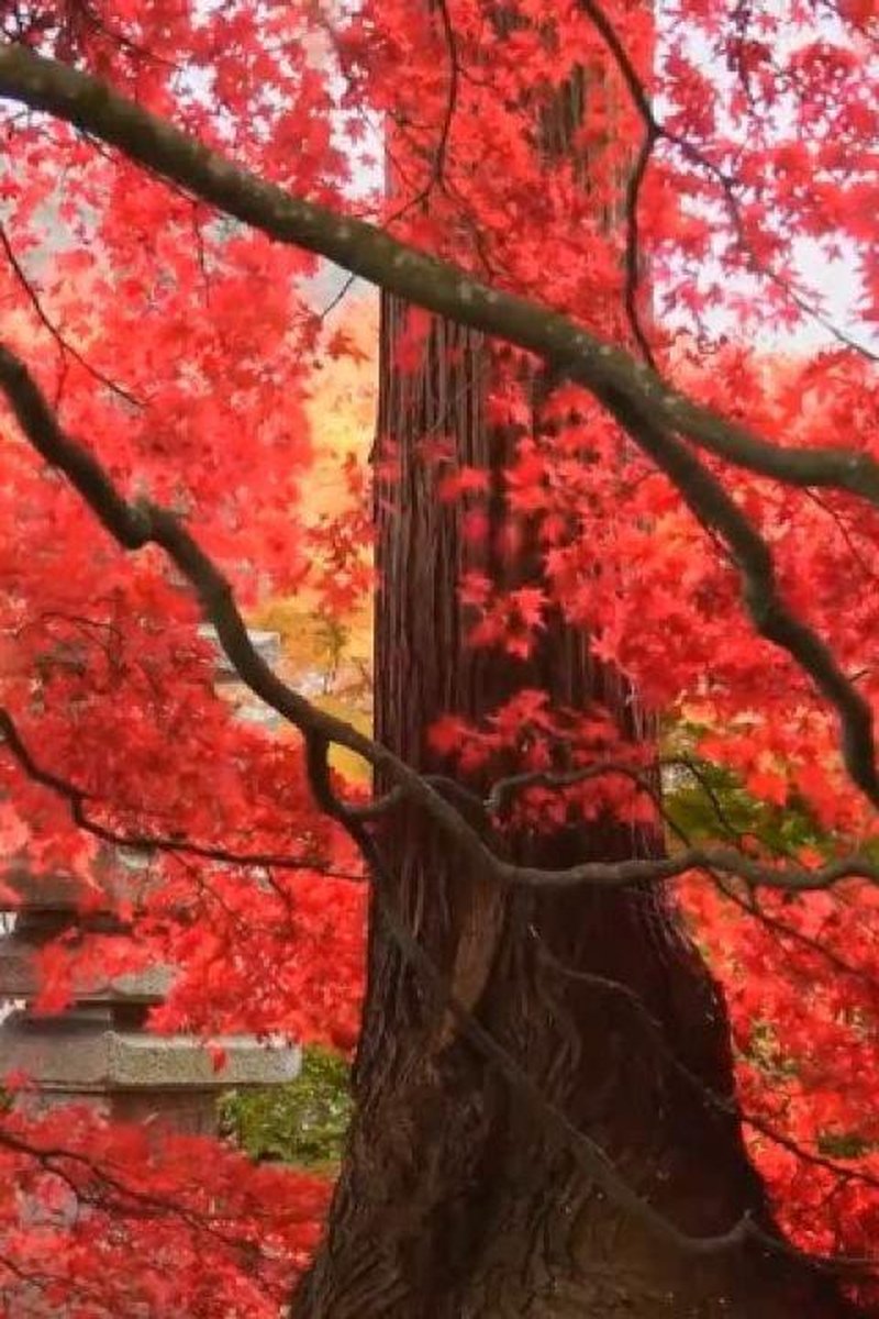 Testing Description - Screenshot 1 of 4 - Playful