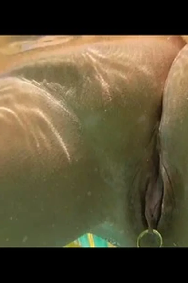 Pussy Under Water - Screenshot 1 of 4 - Holidays