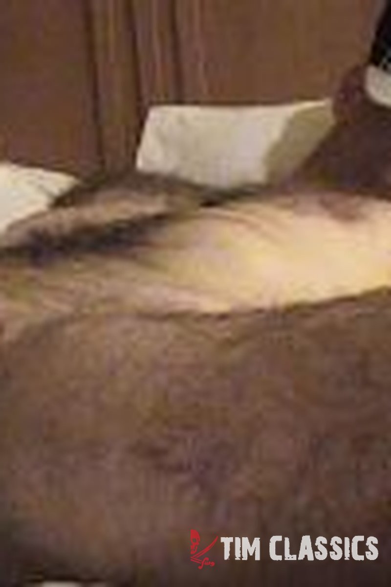 Corey - Screenshot 1 of 4